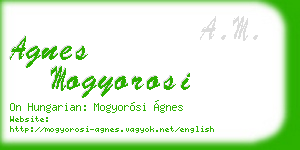 agnes mogyorosi business card